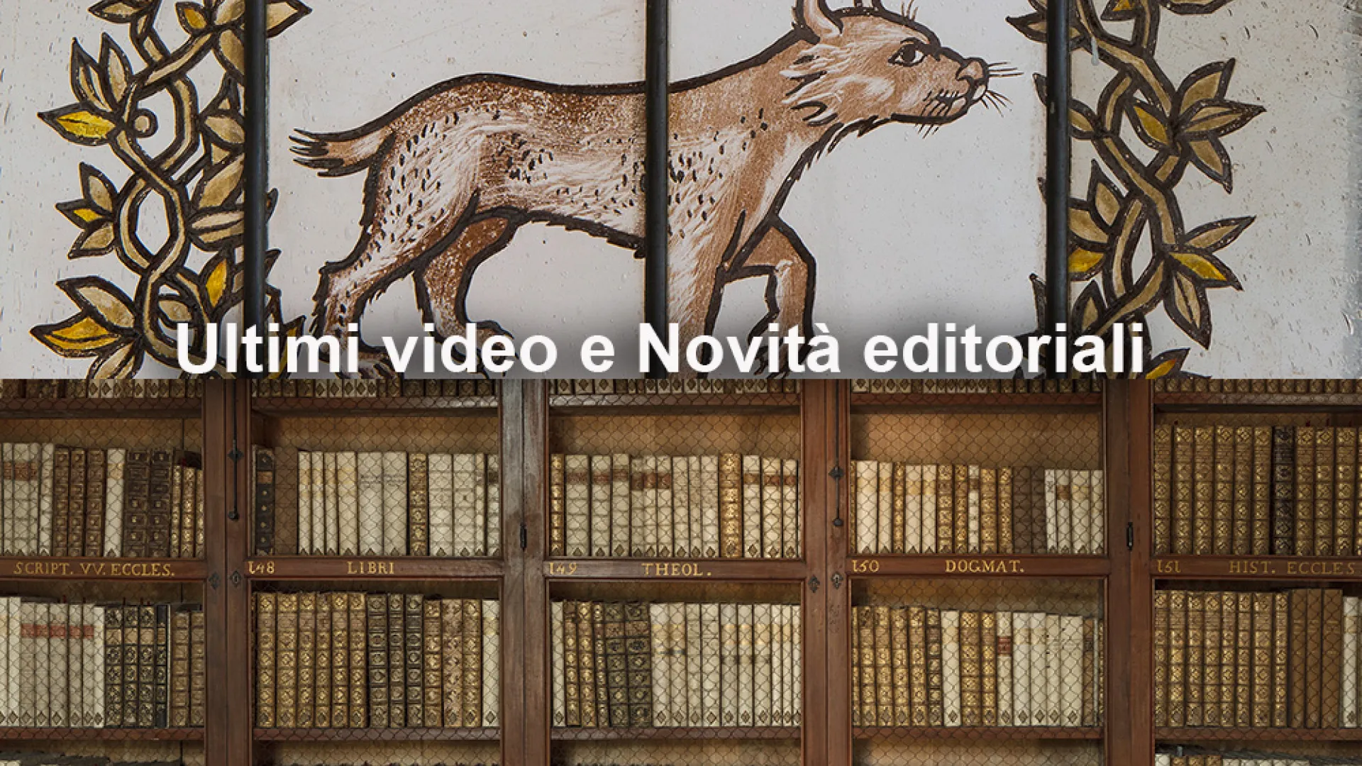immagine decorativa